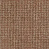 New Regal Protocol Cinnamon Fabric