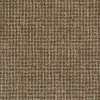 Hot Regal Protocol Nutmeg Fabric