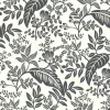 Fashion York RI5136 Black/White Canopy Wallpaper
