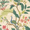 Online York RI5169 Light Pink Peacock Wallpaper
