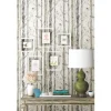 New Stock/York/Roomates RMK9047WP Birch Trees Peel and Stick Wall Decor