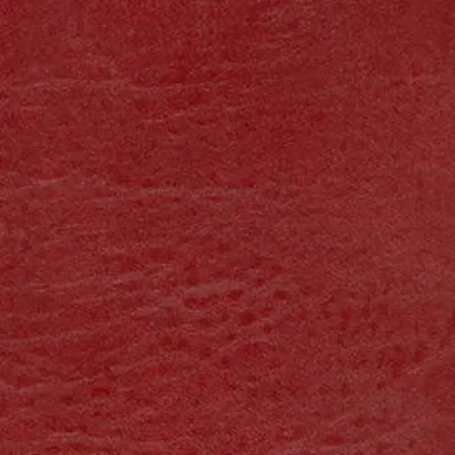 Best Vision Seabreeze 863 Reel Red Fabric