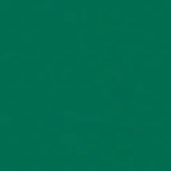 New Vision Spirit Milm US 434 China Green Fabric
