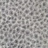 Clearance Stock/PKaufmann_inc/GD Spots Grey Kaufmann Fabric
