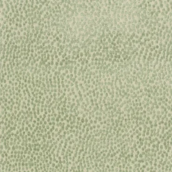 Clearance PKaufmann_inc/PKL Spotty Dotty Meadow P/K Lifestyles Fabric