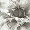 Sale Brewster/ASP 2927-40100 Summer Palm Charcoal Tropical Wallpaper