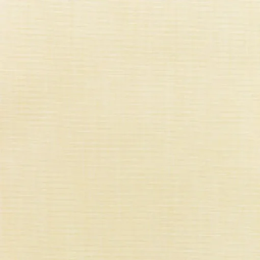 Clearance Vision Sunbr Furn Solid Canvas 5498 Vellum Fabric