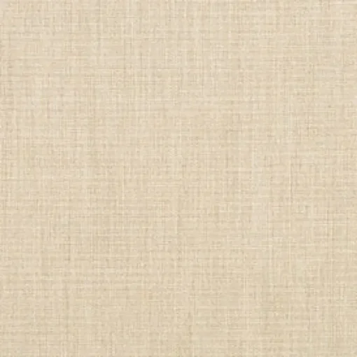 Hot Vision Sunbrella Furn Canvas 5492-0000 Flax Fabric