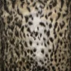 Clearance Tempo Swanee Golden Fabric