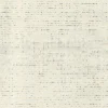 New Regal Taco Cream Fabric