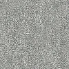 Clearance York TC2686 Charcoal Leopard King Wallpaper