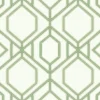 New York TC2631 Green Sawgrass Trellis Wallpaper
