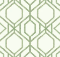 New York TC2631 Green Sawgrass Trellis Wallpaper