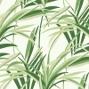 Clearance York TC2601 Green White Tropical Paradise Wallpaper