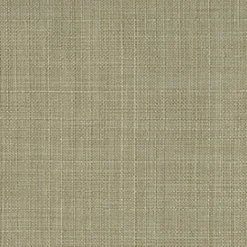 Hot Vision Tropic 6006 Putty Fabric