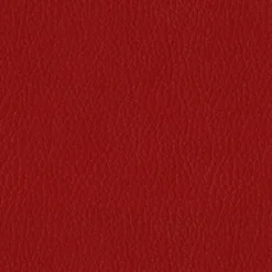 Hot Vision Turner 17 Garnet Fabric