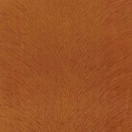 Fashion Regal Venture Curry Fabric