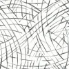 Fashion Brewster/ASP 2902-25506 Willy Nilly Black Brushstrokes Wallpaper
