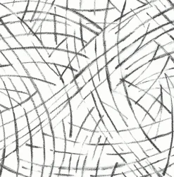 Fashion Brewster/ASP 2902-25506 Willy Nilly Black Brushstrokes Wallpaper