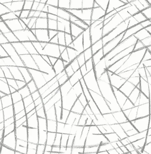 Hot Brewster/ASP 2902-25507 Willy Nilly Grey Brushstrokes Wallpaper