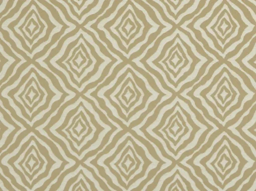 Hot Covington Zumba Shell Fabric