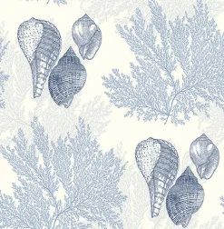 Brewster/ASP 2927-81202 Nauset Blue Seashell Shores Wallpaper