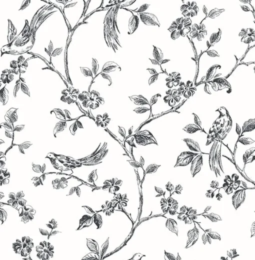 Brewster 2836-24976 Ophelia Black Bird Trail Wallpaper