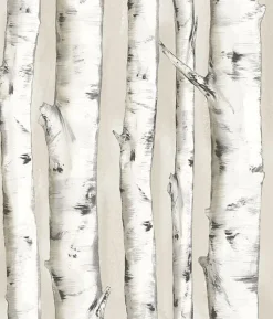 Brewster 3118-12601 Pioneer Off-White Birch Tree Wallpaper