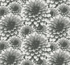 Brewster/ASP 2861-87518 Umbra Charcoal Floral Wallpaper