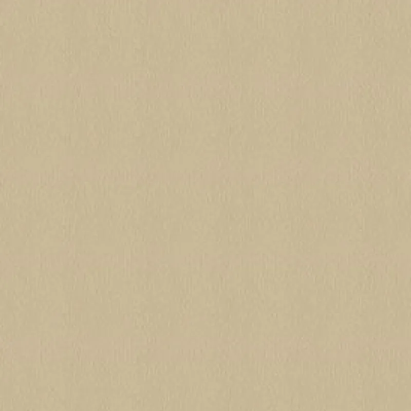 Vision Avalon 528583 Sand Dune Fabric