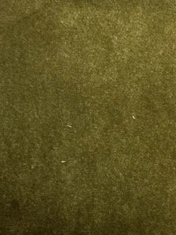 Valdese Banks Olive Fabric