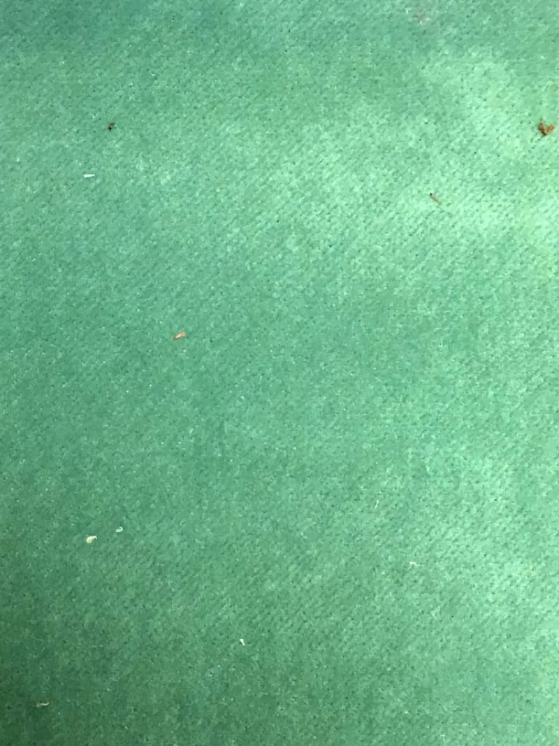 Valdese Banks Viridian Fabric