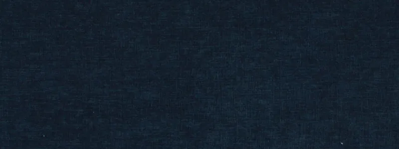 Covington Baras 593 Indigo Fabric