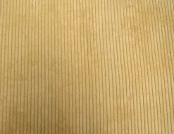 Regal Cab Eggshell Fabric