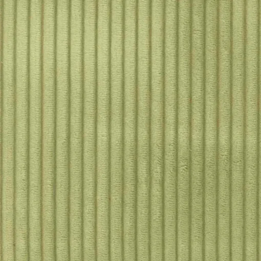 Regal Cab Sage Fabric