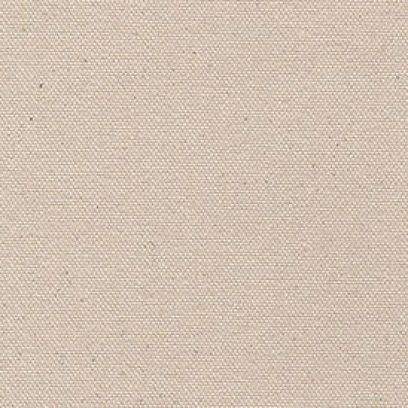 Vision Canvas Untreated #6 Duck, 21oz, 60" Fabric