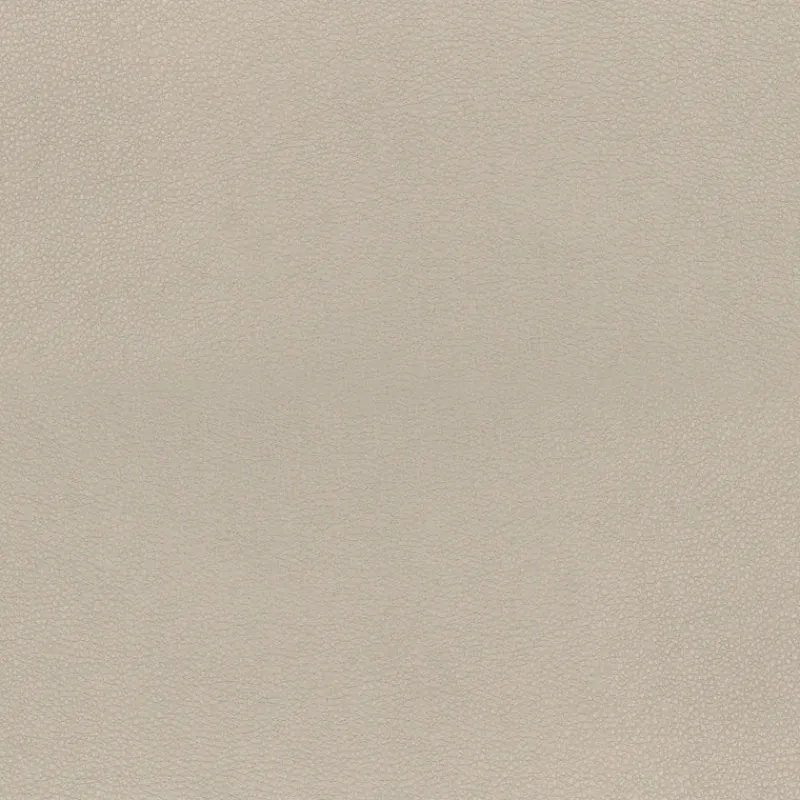 Richloom Concave Natural Fabric