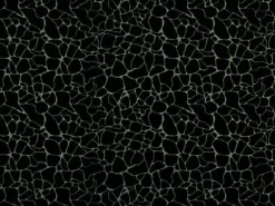 Covington Dare 947 Noir Fabric