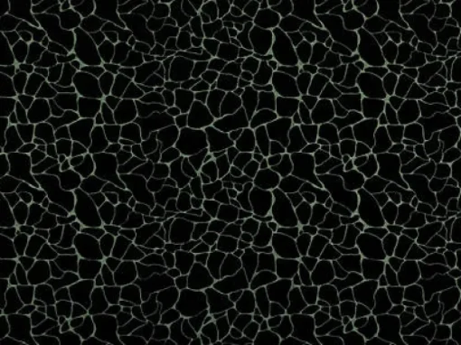 Covington Dare 947 Noir Fabric