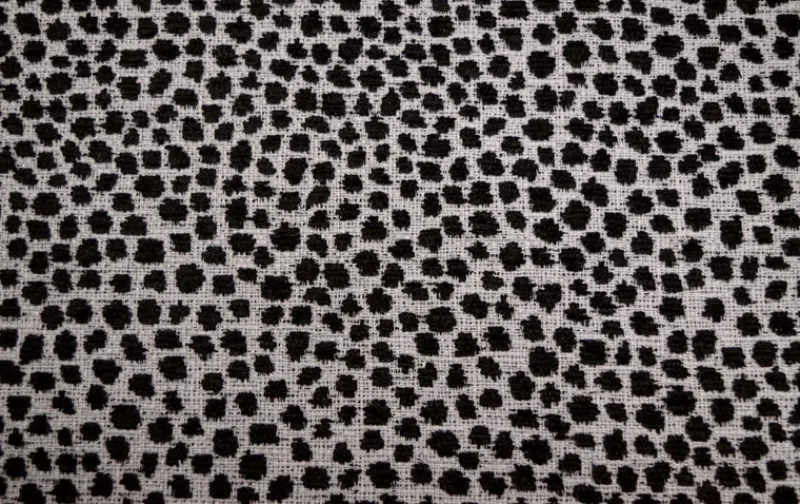 Stock/Covington Dotify Ebony Ivory Covington Fabric