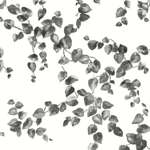 York FH4038 Black/White Creeping Fig Vine Wallpaper