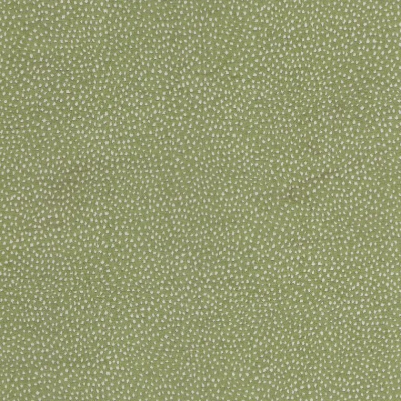 Stock/Tempo Galaxy Aloe Tempo Fabric