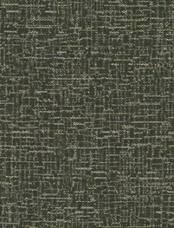 Vision Imagine 6009 Chinchilla Fabric