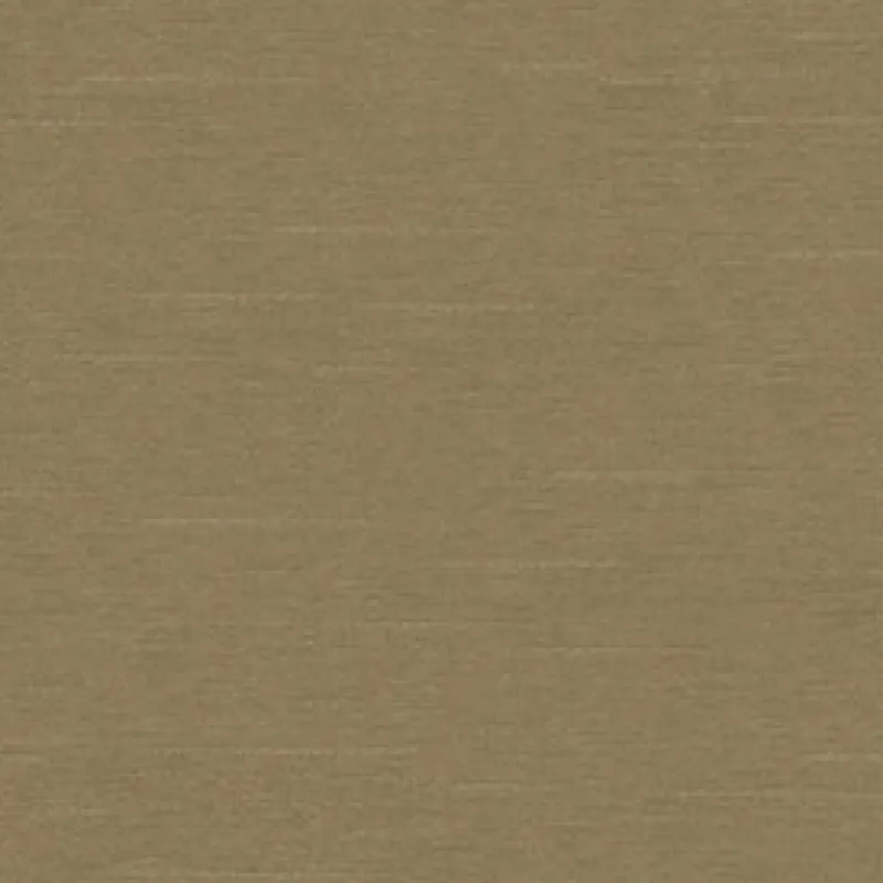 Vision Inspired 807 Mink Fabric