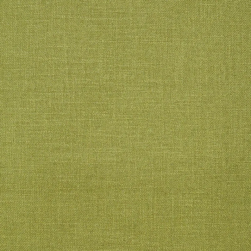 PKaufmann_inc/PK Irving Moss P/Kaufmann Fabric