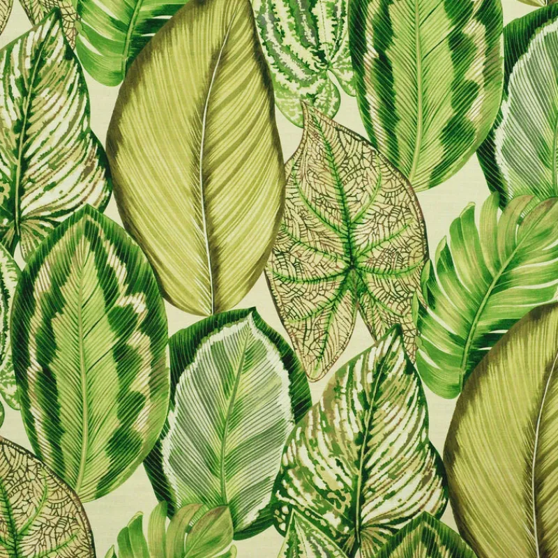 PKaufmann_inc/PK Isla Verde Dill P/Kaufmann Fabric