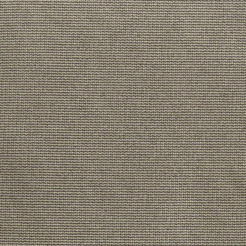 Regal Jive Flannel Fabric