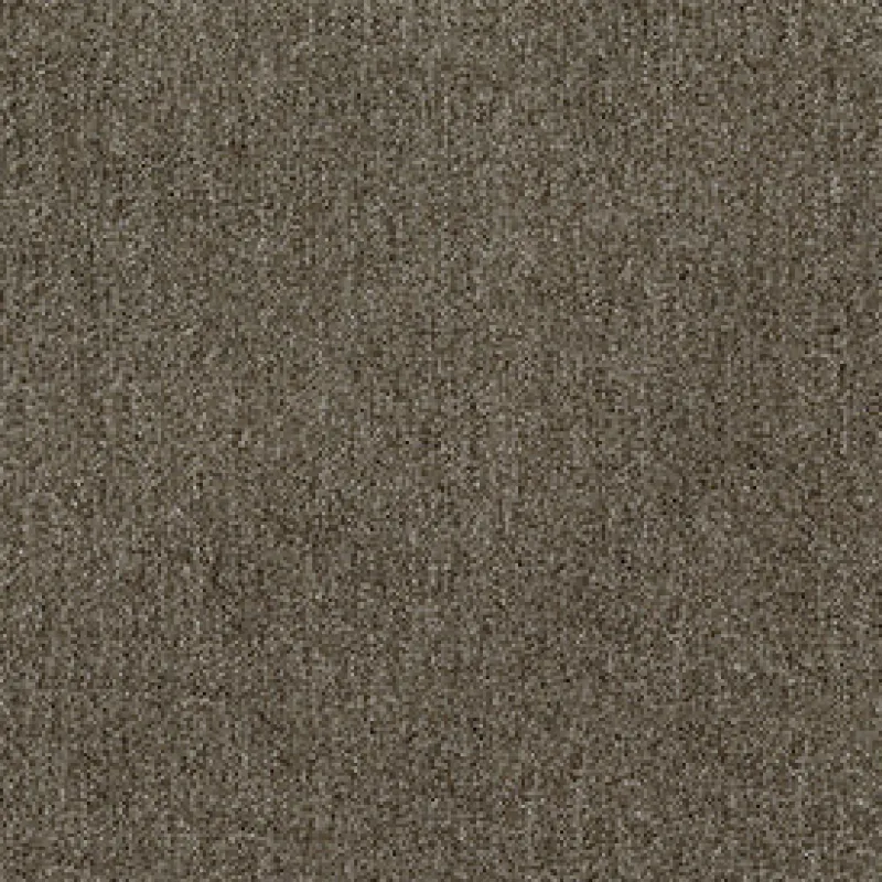 Vision Journey 806 Latte Fabric