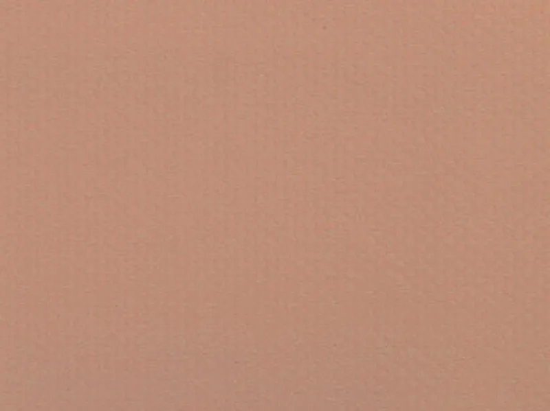 Covington Komodo Blush Fabric