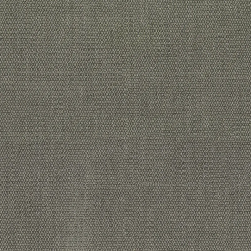 Regal Lucy Ash Fabric